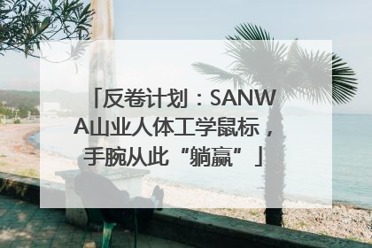 反卷计划：SANWA山业人体工学鼠标，手腕从此“躺赢”