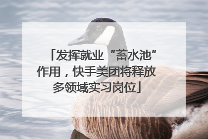 发挥就业“蓄水池”作用，快手美团将释放多领域实习岗位