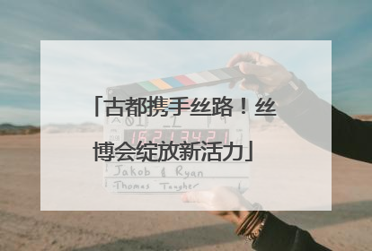 古都携手丝路！丝博会绽放新活力