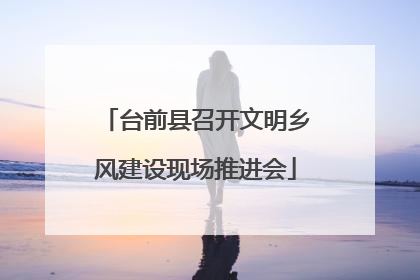 台前县召开文明乡风建设现场推进会