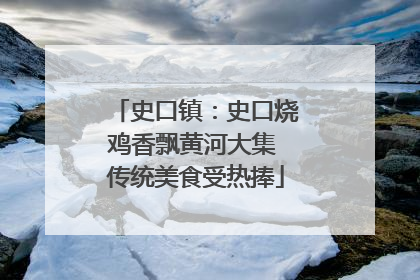 史口镇：史口烧鸡香飘黄河大集 传统美食受热捧