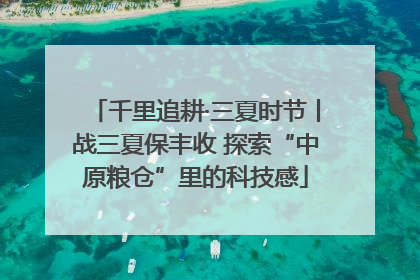 千里追耕·三夏时节丨战三夏保丰收 探索“中原粮仓”里的科技感