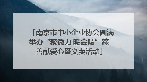 南京市中小企业协会圆满举办“聚微力·暖金陵”慈善献爱心暨义卖活动