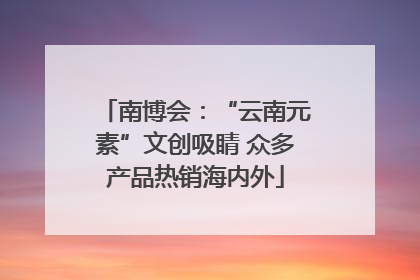 南博会：“云南元素”文创吸睛 众多产品热销海内外