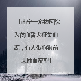 南宁一宠物医院为贫血警犬征集血源，有人带狗狗前来抽血配型