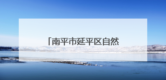 南平市延平区自然资源局坚持“三聚力” 助力擎画集体林权改革“新图景”