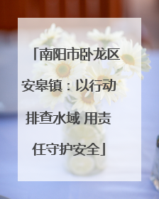 南阳市卧龙区安皋镇：以行动排查水域 用责任守护安全