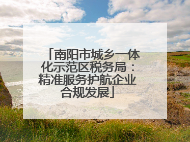 南阳市城乡一体化示范区税务局：精准服务护航企业合规发展
