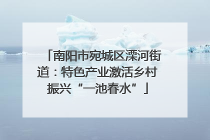 南阳市宛城区溧河街道：特色产业激活乡村振兴“一池春水”