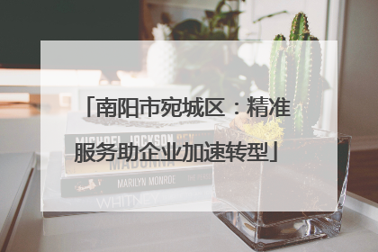 南阳市宛城区：精准服务助企业加速转型