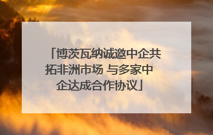 博茨瓦纳诚邀中企共拓非洲市场 与多家中企达成合作协议