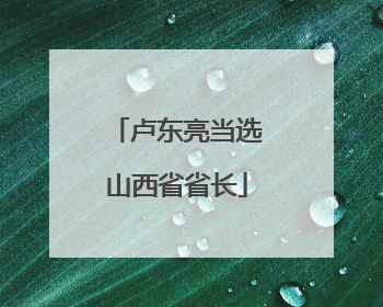 卢东亮当选山西省省长