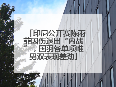 印尼公开赛陈雨菲因伤退出“内战”，国羽各单项唯男双表现差劲