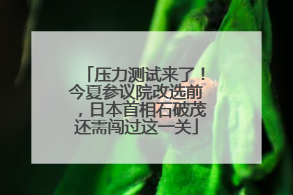 压力测试来了！今夏参议院改选前，日本首相石破茂还需闯过这一关