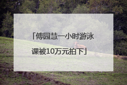 傅园慧一小时游泳课被10万元拍下