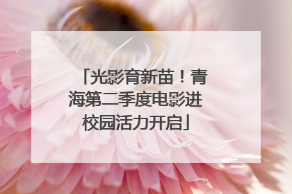光影育新苗！青海第二季度电影进校园活力开启