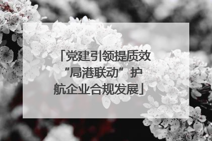 党建引领提质效 “局港联动”护航企业合规发展