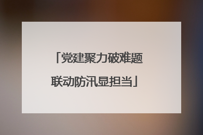 党建聚力破难题 联动防汛显担当
