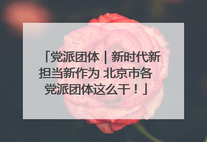 党派团体｜新时代新担当新作为 北京市各党派团体这么干！