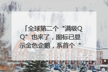 全球第二个“满级QQ”也来了，图标已显示金色企鹅，系首个“满级QQ”的小号