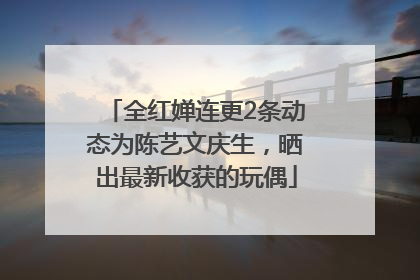 全红婵连更2条动态为陈艺文庆生，晒出最新收获的玩偶