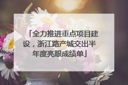 全力推进重点项目建设，浙江路产城交出半年度亮眼成绩单