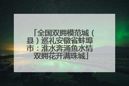 全国双拥模范城（县）巡礼安徽省蚌埠市：淮水奔涌鱼水情 双拥花开满珠城