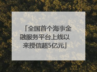 全国首个海事金融服务平台上线以来授信超5亿元
