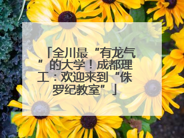 全川最“有龙气”的大学！成都理工：欢迎来到“侏罗纪教室”