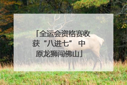 全运会资格赛收获“八进七” 中原龙狮闯佛山