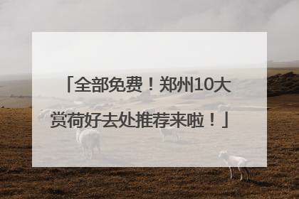 全部免费！郑州10大赏荷好去处推荐来啦！