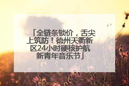 全链条锁价，舌尖上筑防！德州天衢新区24小时硬核护航新青年音乐节