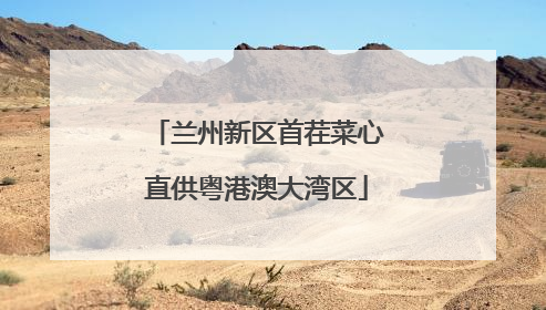 兰州新区首茬菜心直供粤港澳大湾区