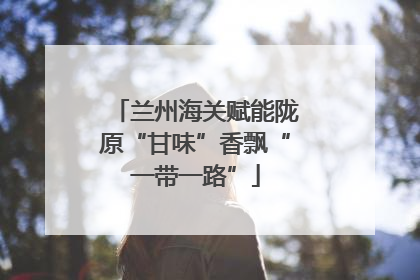 兰州海关赋能陇原“甘味”香飘“一带一路”