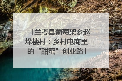 兰考县葡萄架乡赵垛楼村：乡村电商里的“甜蜜”创业路
