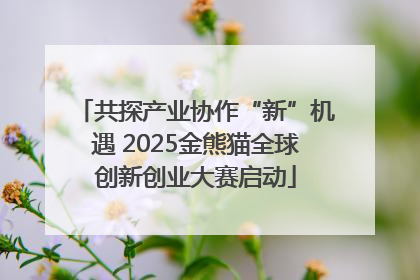 共探产业协作“新”机遇 2025金熊猫全球创新创业大赛启动