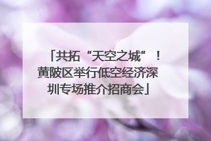 共拓“天空之城”！黄陂区举行低空经济深圳专场推介招商会