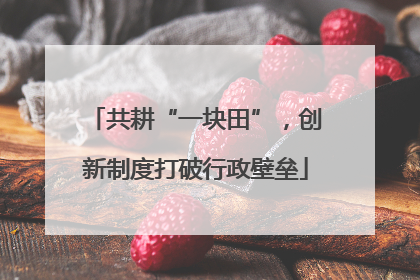 共耕“一块田”，创新制度打破行政壁垒
