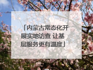 内蒙古常态化开展实地访查 让基层服务更有温度