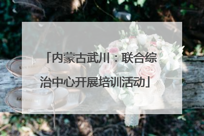 内蒙古武川：联合综治中心开展培训活动