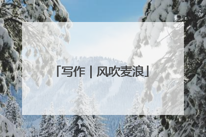 写作｜风吹麦浪