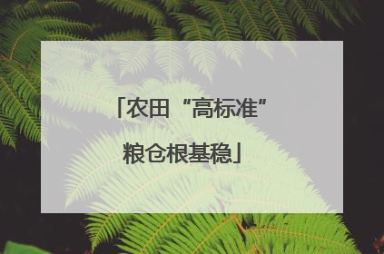 农田“高标准” 粮仓根基稳