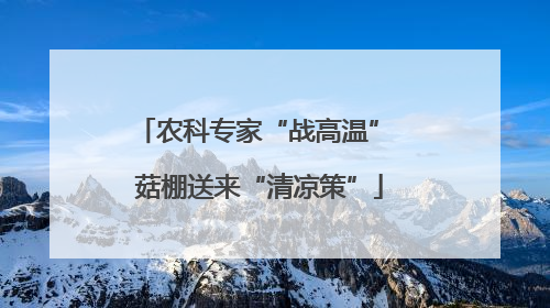 农科专家“战高温” 菇棚送来“清凉策”