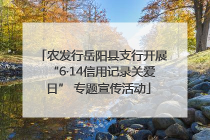 农发行岳阳县支行开展“6·14信用记录关爱日” 专题宣传活动