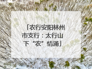 农行安阳林州市支行：太行山下“农”情涌
