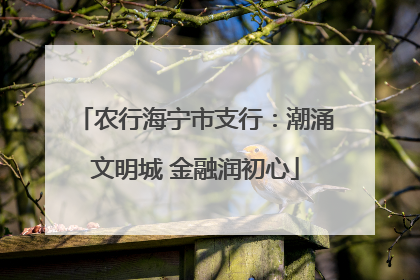 农行海宁市支行：潮涌文明城 金融润初心