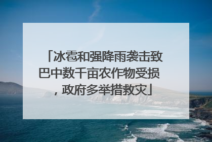 冰雹和强降雨袭击致巴中数千亩农作物受损，政府多举措救灾