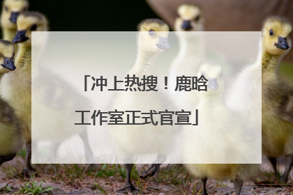 冲上热搜！鹿晗工作室正式官宣