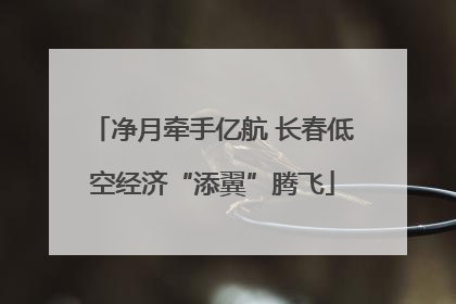 净月牵手亿航 长春低空经济“添翼”腾飞