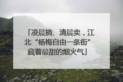 凌晨摘、清晨卖，江北“杨梅自由一条街”藏着最甜的烟火气
